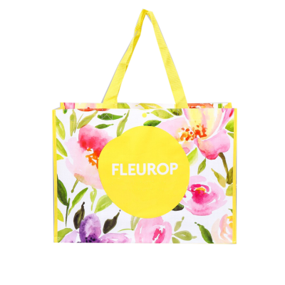 Lamination Bag, Cooler Bag, singapore corporate gifts