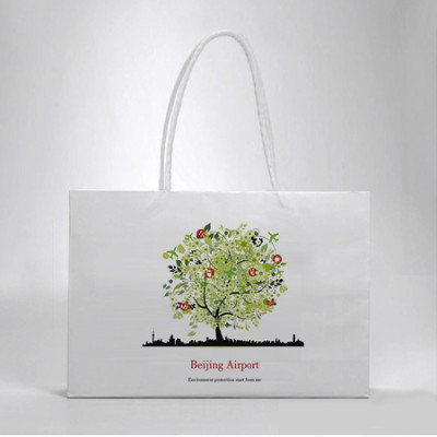 Color Printing Paper Bag, Paper Gift Bag, singapore corporate gifts