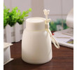 Glass Water Bottle, Promotional Glass, singapore corporate gifts