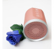 Bluetooth Speaker, Speaker, singapore corporate gifts