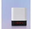 Alarm Clock Bluetooth Speaker, Speaker, singapore corporate gifts
