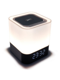 Loudspeaker (75)