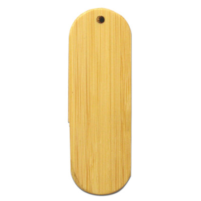 Bamboo USB Flash Memory, Green Gifts, singapore corporate gifts