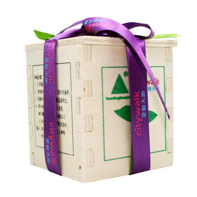 Eco Mini Plants, Green Gifts, singapore corporate gifts