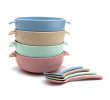 Straw Bowl with Spoon, Gifts Set, singapore corporate gifts
