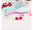 Airbag Comb (With Small Comb), Personal Care Products, singapore corporate gifts