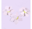 Promotional Pinwheel, Other Household Premiums, singapore corporate gifts