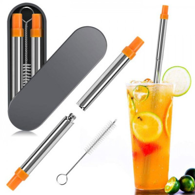 Collapsible Stainless Steel Straw, Other Household Premiums, singapore corporate gifts