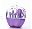 Apple Shaped Manicure Set, Personal Care Products, singapore corporate gifts