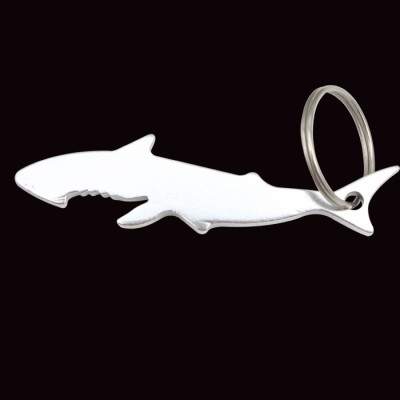 Bottle Opener, Key Chain, singapore corporate gifts