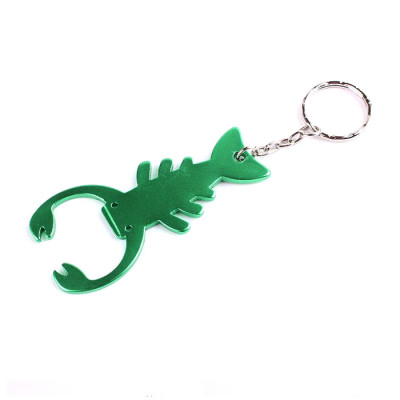 Bottle Opener, Key Chain, singapore corporate gifts