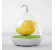 Bird Cage Light, Torch | Lighting, singapore corporate gifts