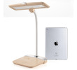 Lamp, Torch | Lighting, singapore corporate gifts