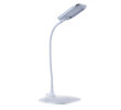 LED Lamp, Torch | Lighting, singapore corporate gifts