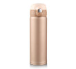 Vacuum Bottle, Thermal Mug, singapore corporate gifts