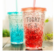 650 ML Double Wall Gel Freezer Mug, Advertising Bottle | Cup, singapore corporate gifts
