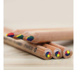 4 in 1 Color Pencil, Pencil | Crayon, singapore corporate gifts