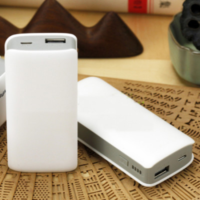 Large-Capacity Dual Connector ChargingTreasure, Power Bank, singapore corporate gifts