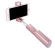 Selfie Stick with LED Fill Light, Selfie Stick, singapore corporate gifts