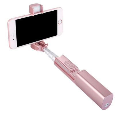 Selfie Stick with LED Fill Light, Selfie Stick, singapore corporate gifts
