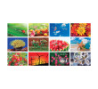 Table Calendar, Calendar, singapore corporate gifts