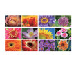Table Calendar, Calendar, singapore corporate gifts