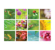Table Calendar, Calendar, singapore corporate gifts