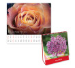Table Calendar, Calendar, singapore corporate gifts