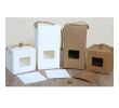 Kraft Paper Gift Box, Paper Gift Bag, singapore corporate gifts