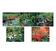 Wall Calendar, Calendar, singapore corporate gifts