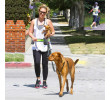 Pet Running Traction Bag Set, Other Bags, singapore corporate gifts
