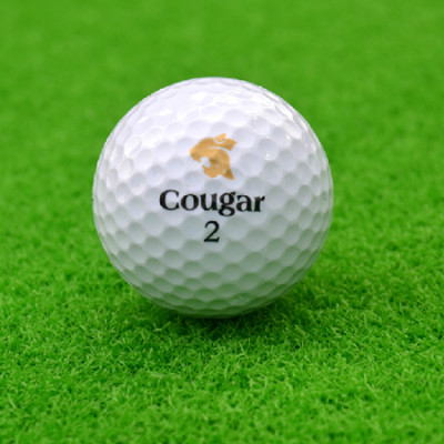 Golf, Golf Gifts, singapore corporate gifts