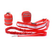 Pet Running Traction Bag Set, Other Bags, singapore corporate gifts