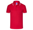 Custom Logo Polo Tee Shirts, Polo Shirts, singapore corporate gifts