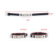 Belt Buckle Bracelet, Personal Care Products, singapore corporate gifts