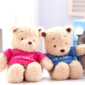 Graduation Bear Custom LOGO