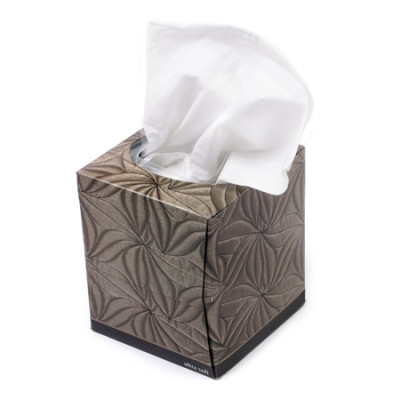 Boxed Paper Towels, Advertising Tissue, singapore corporate gifts