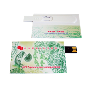 Card Disk USB Flash Memory