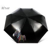 Color Changing Umbrella Color Changing Umbrella