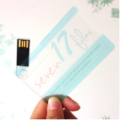 Card USB Flash Drive