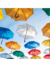 Umbrella & Rain Cover (86)